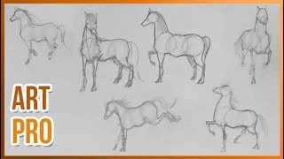 How to draw HORSES step by step 🐎 METHOD [upl. by Siseneg]