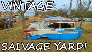 HUGE Classic Car Junkyard Walkthrough  Classic Cars Scattered All Over Junkyard Tour [upl. by Micki275]