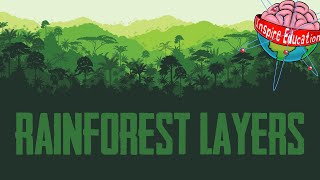 The 4 Layers of the Rainforest [upl. by Inalel]