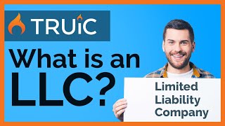 What is an LLC   Limited Liability Company [upl. by Artina]