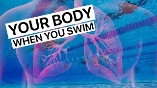 What Happens To Your Body When You Swim [upl. by Eelirol36]