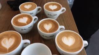 Barista Tutorial Live Part 3 Latte Art Basics  Heart Rosetta Tulip [upl. by Amber]