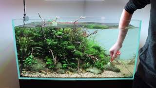 Aquascape Maintenance in Aquarium Gardens Showroom [upl. by Cilka]