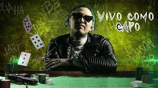 Lary Over  Intro Vivo Como Capo El Wason BB [upl. by Krall]