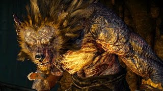 Witcher 3 Morkvarg the Werewolf Boss Fight Hard Mode 4K 60fps [upl. by Assirrak]