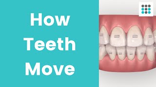 HOW TEETH MOVE WITH ALIGNERS amp BRACES l Dr Melissa Bailey Orthodontist [upl. by Haberman313]