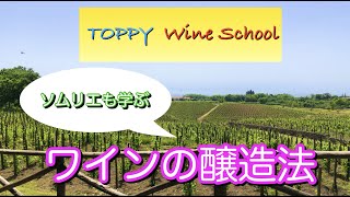 ワインの醸造法！ソムリエ目線で詳しく解説【TOPPY WINE SCHOOL】11 [upl. by Eelrebmik997]