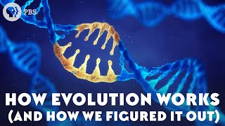 How Evolution Works And How We Figured It Out [upl. by Aserret974]