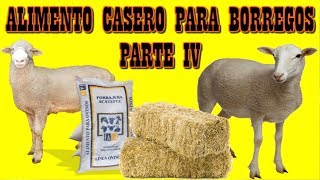 Alimento casero para ENGORDAR BORREGOS [upl. by Eirb412]