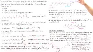 Fatty Acids [upl. by Lindell]