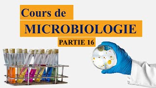 Cours de microbiologie partie 16 généralités sur les milieux de culture [upl. by Tara]