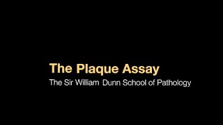 The plaque assay [upl. by Bernardo909]