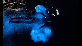 Swimming in a GLOWING OCEAN  Incredible Bioluminescence [upl. by Adnaloj818]