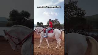 The Majestic Horse Riding of Mahabaleshwar [upl. by Haramat]