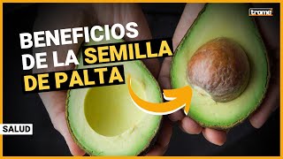 SEMILLA DE PALTA AGUACATE 6 poderosos beneficios y cómo consumirla [upl. by Atelra]