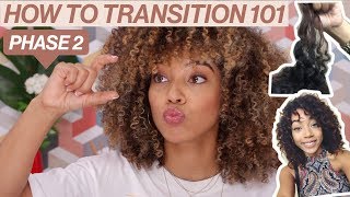 How To Transition To Natural  Phase 2  Transitioning Hairstyles amp Curl Typing [upl. by Pattin]