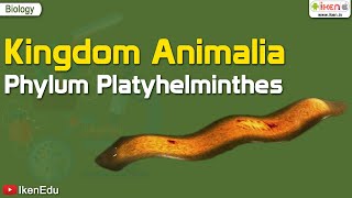 Kingdom Animalia Phylum Platyhelminthes  Biology  iKen  iKenEdu  iKenApp [upl. by Ainyt]