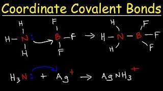 What is a Coordinate Covalent Bond [upl. by Appel]