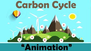 CARBON CYCLE  Biology Animation [upl. by Padegs]