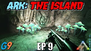 Ark Survival Evolved  The Island EP9 Our First Artifact [upl. by Aneekahs454]