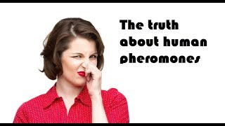 The truth about human pheromones [upl. by Aruasor]