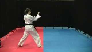 ToSan Kata  Lake Arlington Karate Academy [upl. by Mauchi]