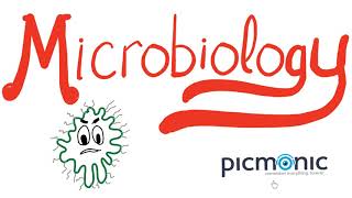 Microbiology Part 1 Introduction  Actinomyces israeli Listeria Diphtheria Nocardia  Picmonic [upl. by Nevah851]