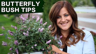 Butterfly Bush Care Tips  Garden Answer [upl. by Aicnelev]