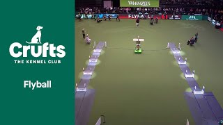 Flyball  Quarter Finals  Crufts 2022 [upl. by Currie]