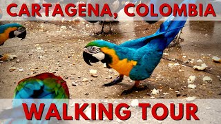 Cartagena Colombia Cruise Port Walking Tour [upl. by Alphonse]