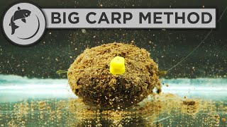 How To Fish The Method Feeder For BIG CARP [upl. by Zippora]