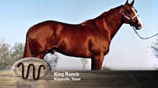 AQHA 75Year Breeder Salute [upl. by Leunammi]