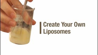 Create your own liposomes [upl. by Jess862]