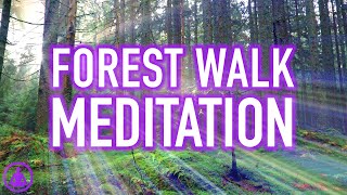 Guided Forest Walk Meditation  Calming and Relaxing Mindfulness Activity [upl. by Idyak479]