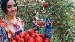 TAJIKISTAN IS A PARADISE OF THE SWEETEST FRUITS EVER IN THE WORLDYOU GOT TO SEE THIS [upl. by Assiar]