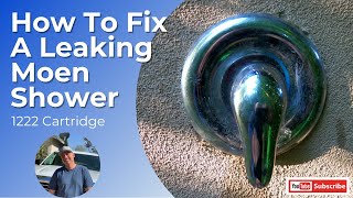 How to fix a leaking Moen Shower [upl. by Ahsikad]