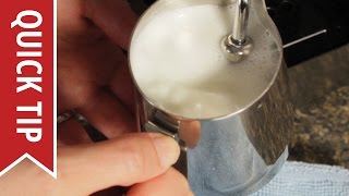 How to AutoFroth Milk for Lattes [upl. by Nanyk]