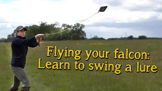 Falconry Basics  Introduction To Lure Flying Your Falcon [upl. by Flemings]