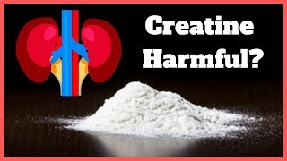 Is Creatine Bad for your Kidneys [upl. by Ailecra]