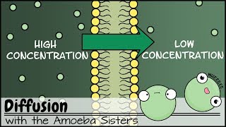 Diffusion [upl. by Erbas]