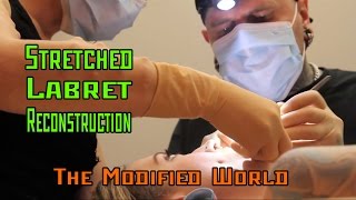 Stretched Labret Reconstruction  THE MODIFIED WORLD [upl. by Jarrow850]