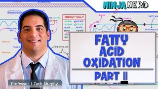 Metabolism  Fatty Acid Oxidation Part 2 [upl. by Hughes]