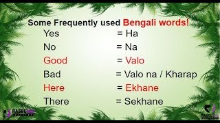 Learn Some Frequently Used Bengali Words in English Part 1 [upl. by Fedak]