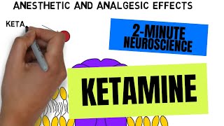 2Minute Neuroscience Ketamine [upl. by Amarette]