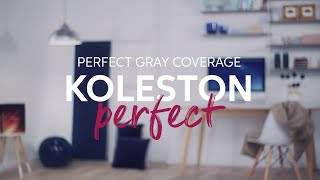 Everything You Need to Know About Koleston Perfect  Wella Professionals [upl. by Chainey356]