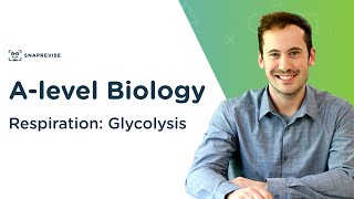 Respiration Glycolysis  Alevel Biology  OCR AQA Edexcel [upl. by Akilak]