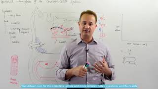 Blood Flow Autoregulation [upl. by Wilkey]