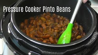 Pressure Cooker Pinto Beans  No Soak Quick Cook Beans  Cosori 2 Quart Electric Pressure Cooker [upl. by Sateia]