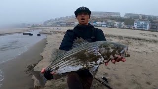 Light Tackle Surf Striper on the SP Minnow [upl. by Atirahs]