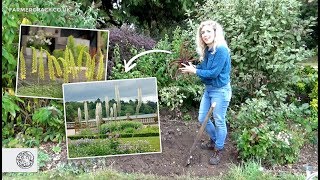 How to grow Eremurus Foxtail Lily bulbstubers  FarmerGracycouk [upl. by Aribold]